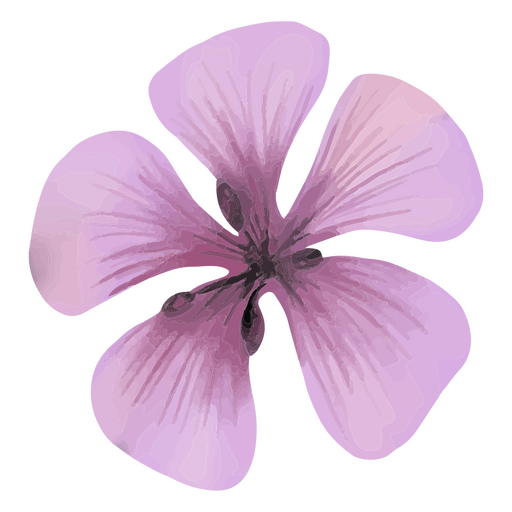 Primavera texturizada flor violeta Diseño PNG