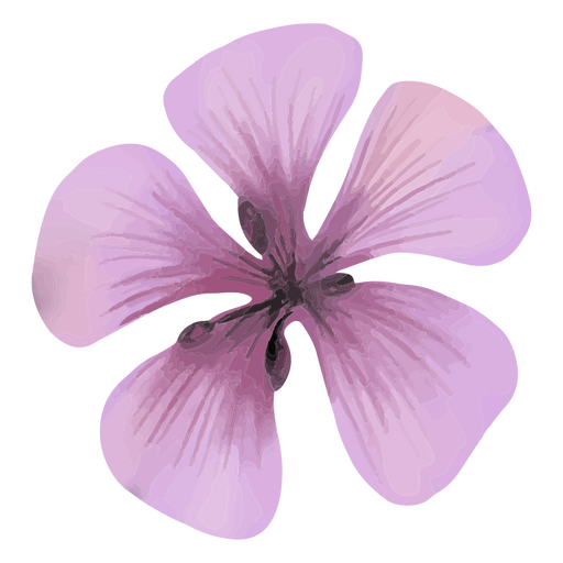 Strukturierter Frühling der violetten Blume PNG-Design