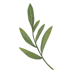 Minimalist Bouquet Of Leaves PNG & SVG Design For T-Shirts