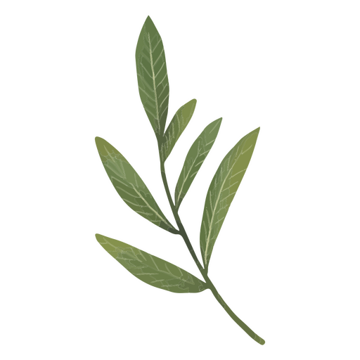 Minimalist bouquet of leaves PNG Design