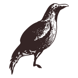 Vogel-Wikinger-Symbol PNG-Design
