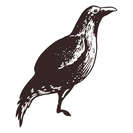 Vogel-Wikinger-Symbol PNG-Design