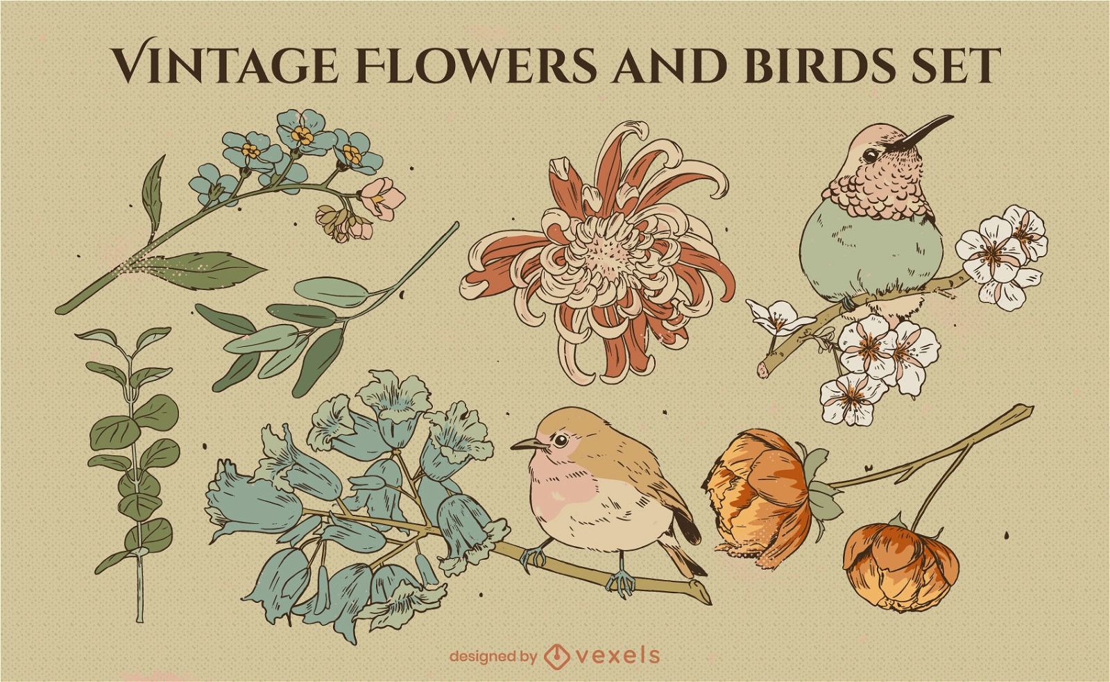 Conjunto de flores e pássaros vintage