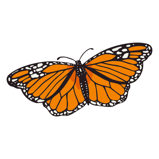 Belo animal borboleta monarca Desenho PNG