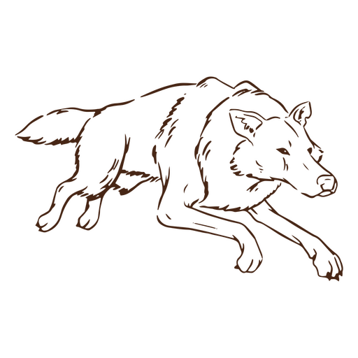 Animal lobo correndo simples Desenho PNG