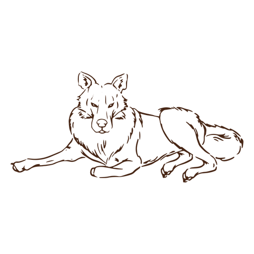 Simple lying wolf animal PNG Design
