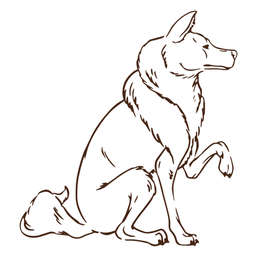 Animal de lobo de pata simples Desenho PNG