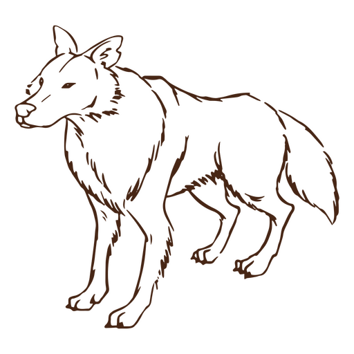 Animal lobo de natureza simples Desenho PNG