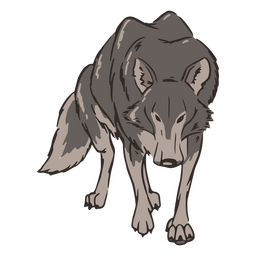 Natur Wolfstier PNG-Design