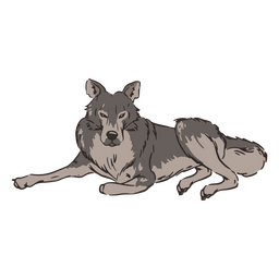 Animal lobo mentiroso Diseño PNG