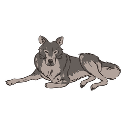 Lying wolf animal PNG Design Transparent PNG