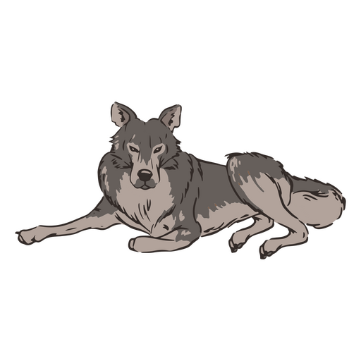 Lying wolf animal PNG Design