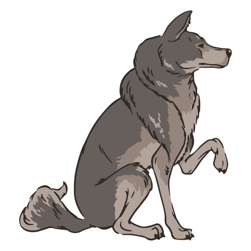 Illustration of wolf sitting PNG Design