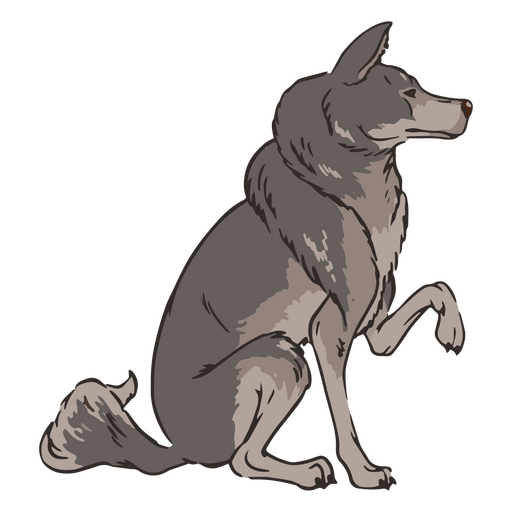 Ilustración de lobo sentado Diseño PNG