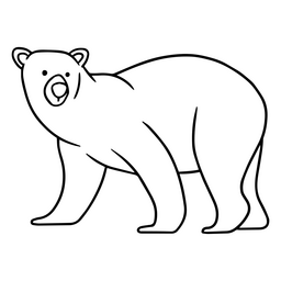 urso polar do curso Desenho PNG