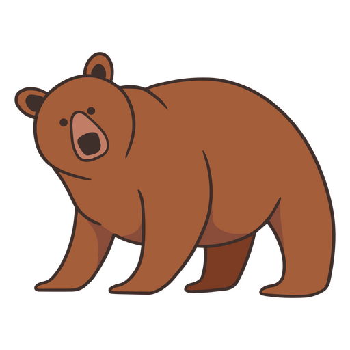 Trazo de color de oso grizzly Diseño PNG