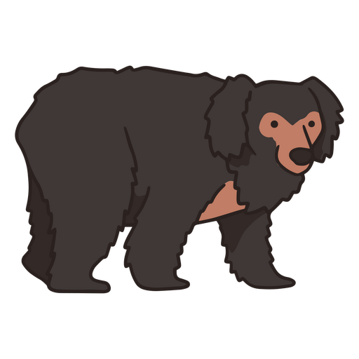 Traço de cor de urso-preguiça Desenho PNG