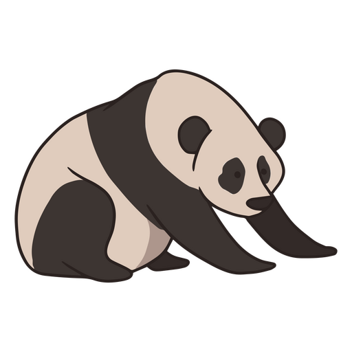 Panda color stroke bear PNG Design
