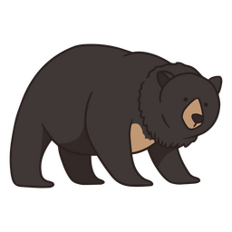 Trazo de color de oso negro americano Diseño PNG