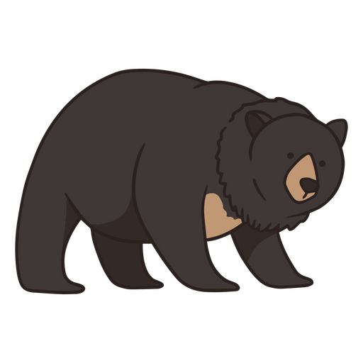 Trazo de color de oso negro americano Diseño PNG