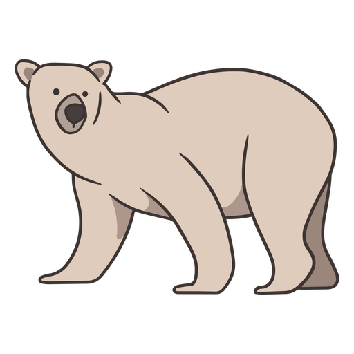 Urso de traço de cor polar Desenho PNG