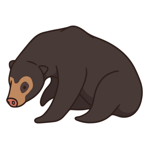 Traço de cor de urso de óculos Desenho PNG