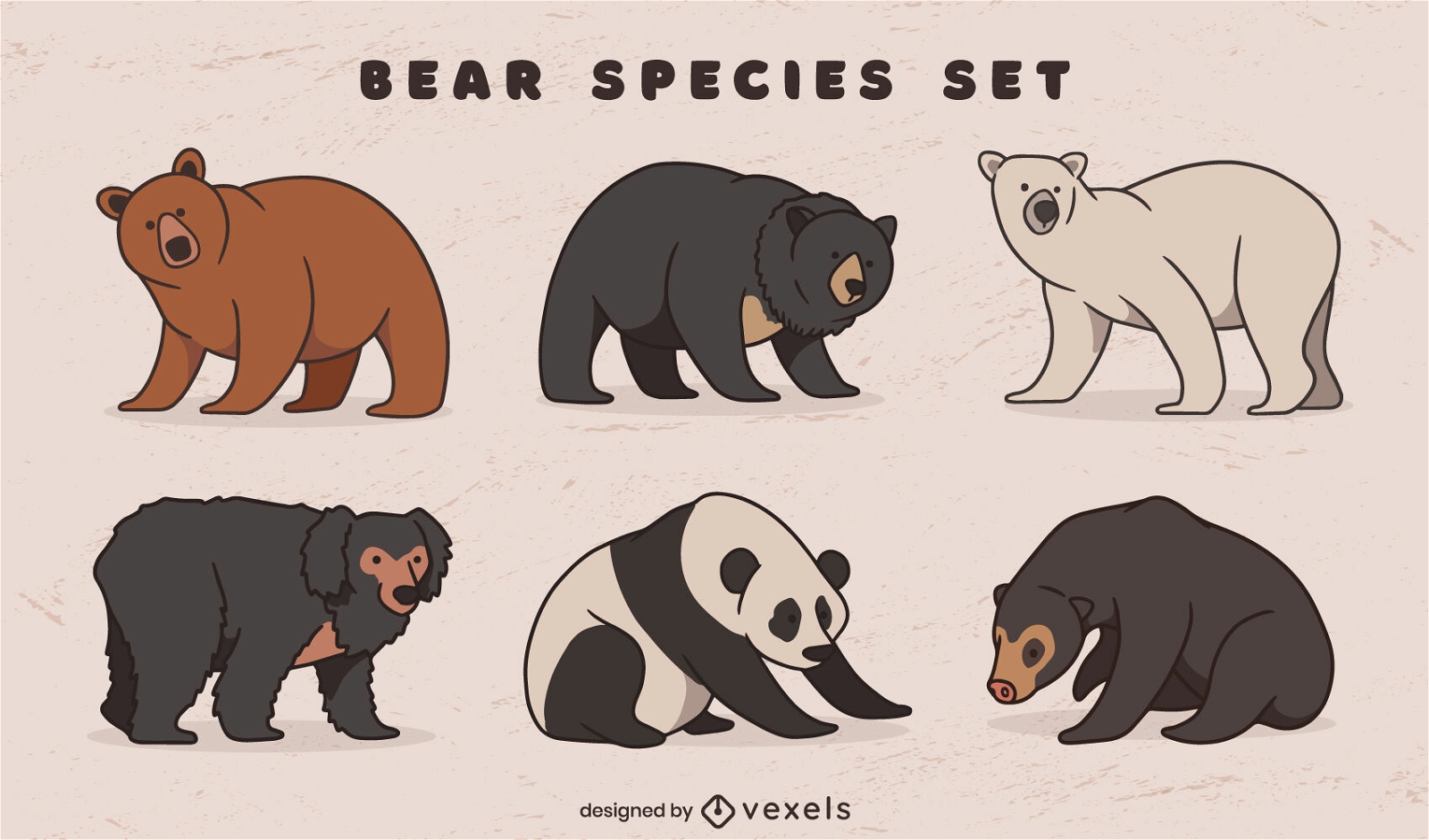 Conjunto de caracteres de especies de osos