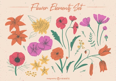 Conjunto de elementos de flores botánicas