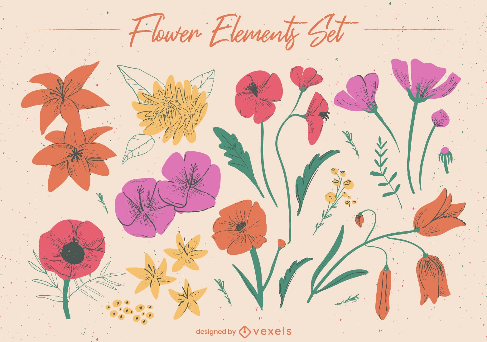 Botanical flower elements set
