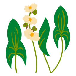 White orchids flat PNG Design