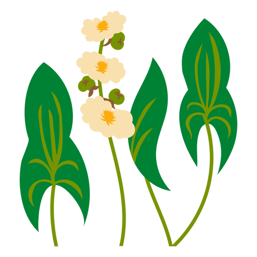 Orquídeas blancas planas Diseño PNG