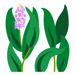 Plant with flower flat PNG Design Transparent PNG
