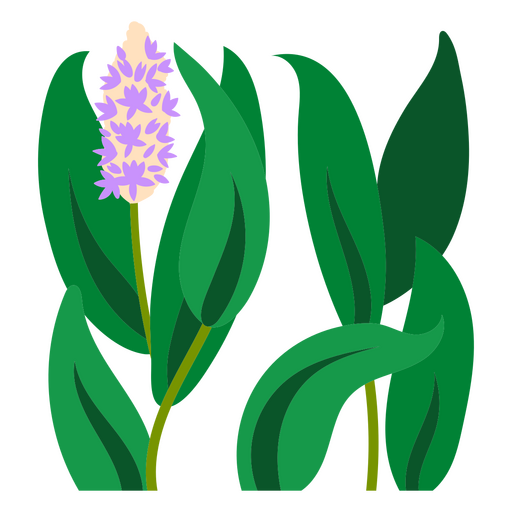 Plant with flower flat