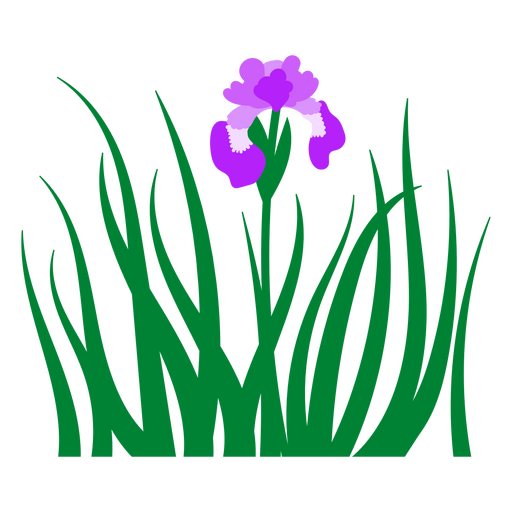 Orquídea roxa plana Desenho PNG