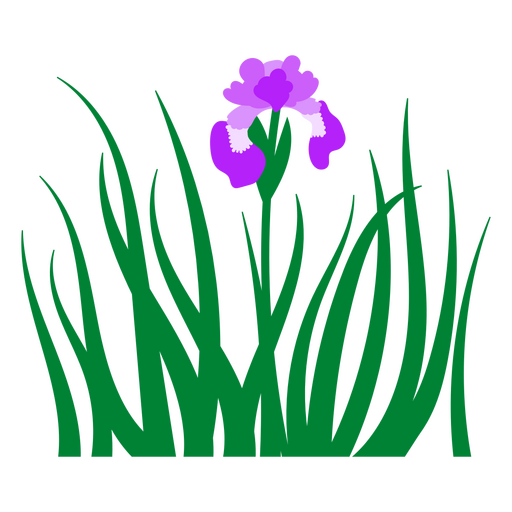 Purple orchid flat