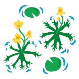 Plantas aquáticas planas Desenho PNG