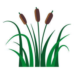 Reed Flat Aquatic Plant PNG & SVG Design For T-Shirts