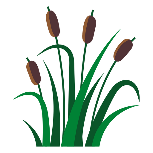 Plantas aquáticas planas de junco Desenho PNG