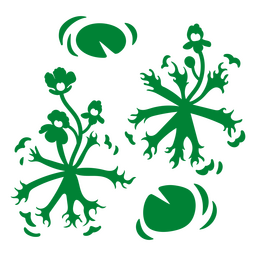 Wasserpflanzen einfarbig PNG-Design