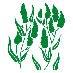 Pickerelweed monochromatisch PNG-Design
