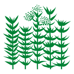 Flor monocromática de cana aquática Desenho PNG