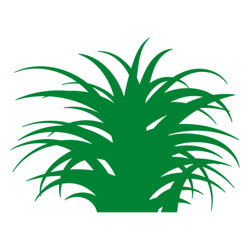 Aloe einfarbig PNG-Design