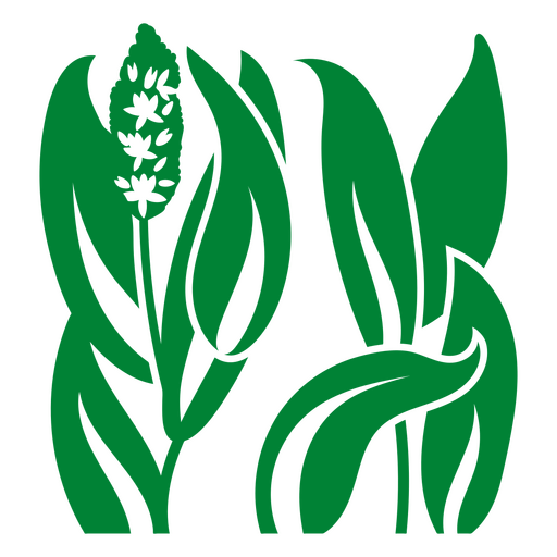 Pickerelweed mit Blättern PNG-Design