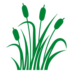 Reed monochromatische Wasserpflanze PNG-Design