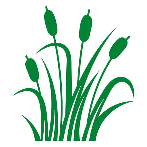 Reed monochromatic aquatic plant PNG Design