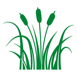 Cattail Plant With Leaves PNG & SVG Design For T-Shirts