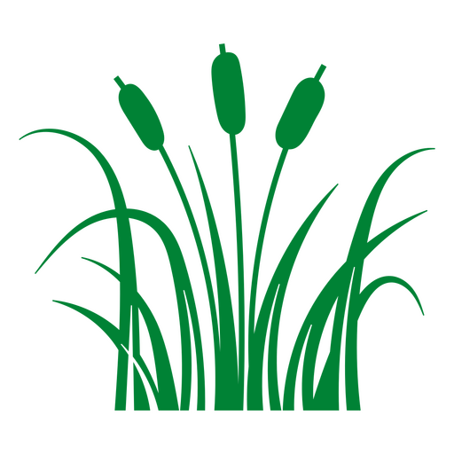 Cattail Plant with Leaves PNG Design