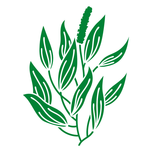Planta de erva-cidreira Desenho PNG