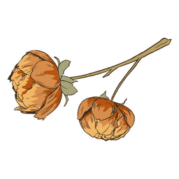 Flores de laranja vintage Desenho PNG