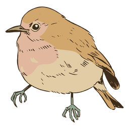 Detailed bird character PNG Design